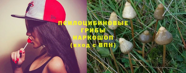 ECSTASY Баксан