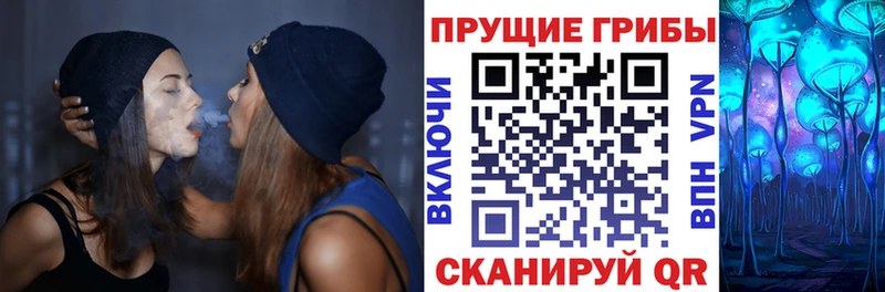 Купить где Гурьевск Псилоцибиновые грибы GOLDEN TEACHER